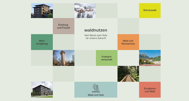 waldnutzen.ch & das Projekt INNOwood